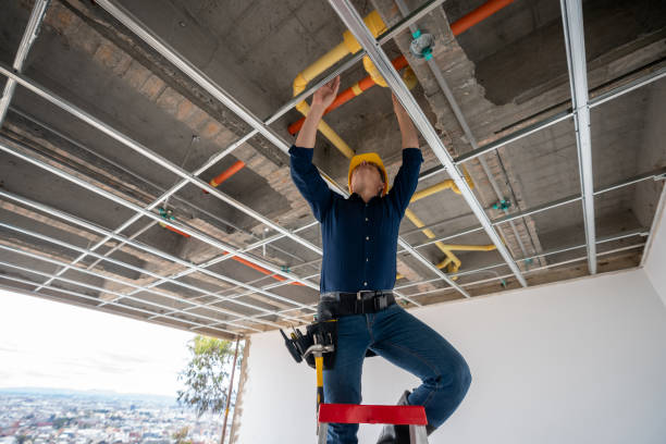 Best Plumbing Services Near Me  in Romney, WV